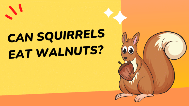 what are squirrels good for