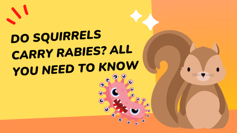 how to tell if a baby squirrel is dying