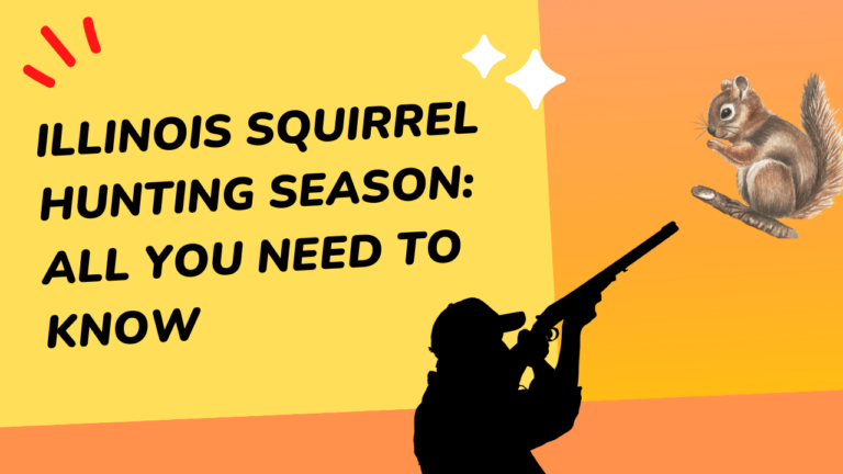 Illinois Squirrel Hunting Season: All You Need to Know