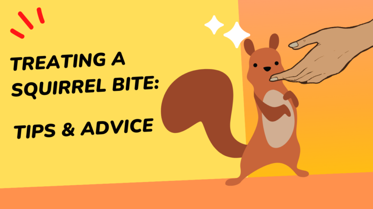 how to tell if a baby squirrel is dying