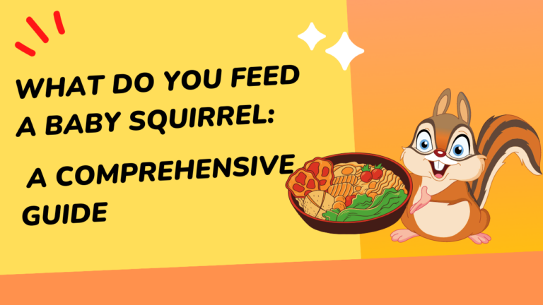 What Do You Feed a Baby Squirrel: A Comprehensive Guide